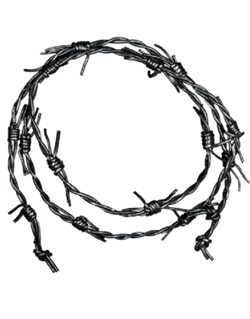 THE MOST GENUINE LEATHER BARBED WIRE