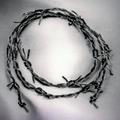 THE MOST GENUINE LEATHER BARBED WIRE