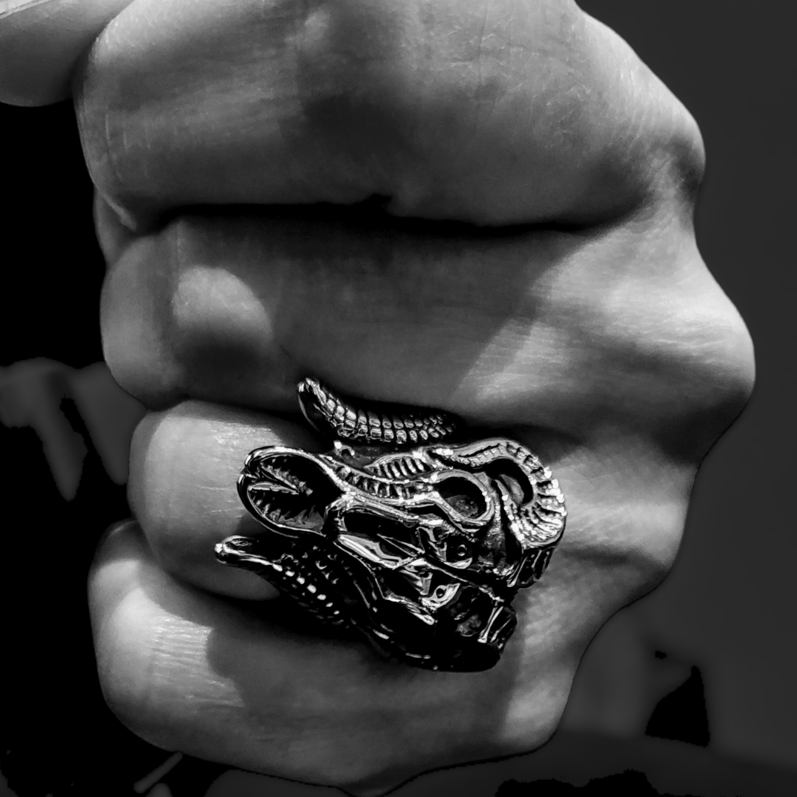 RAM HEAD STEEL RING