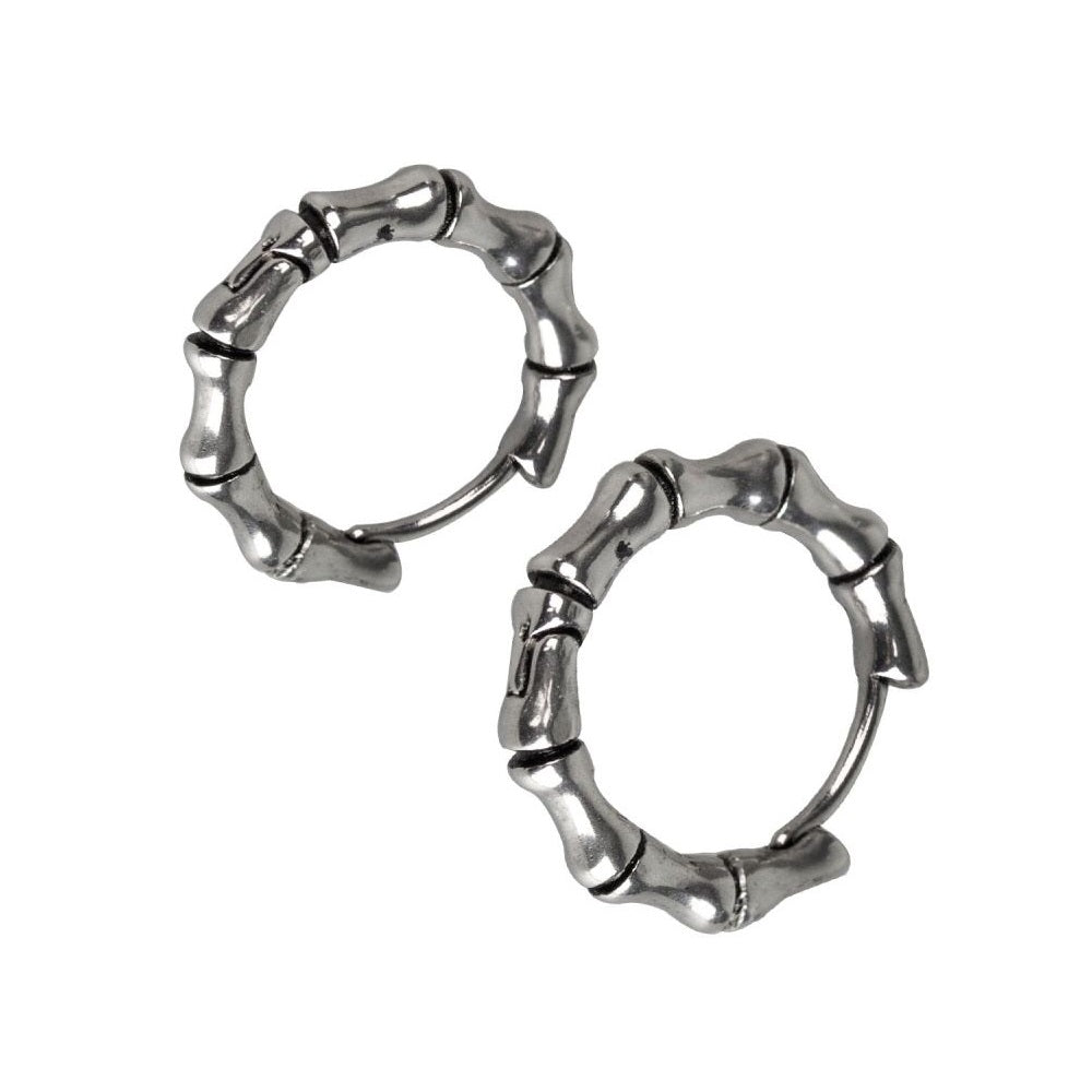 EARRINGS BONE