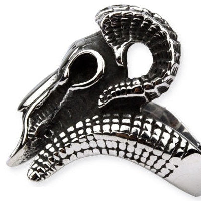 RAM HEAD STEEL RING