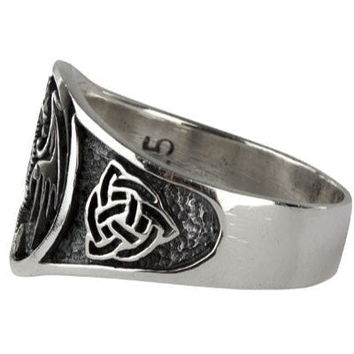 STAINLESS STEEL DRAGON RING