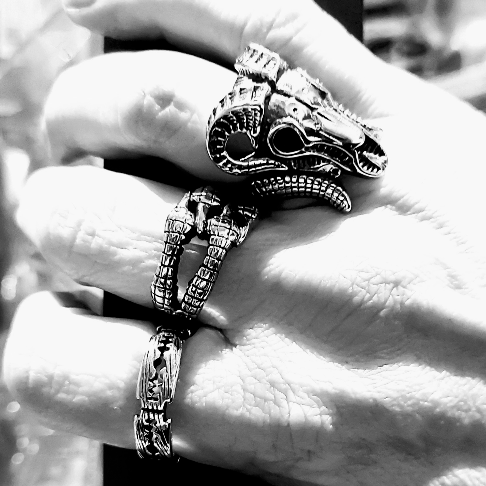 STAINLESS STEEL CLAW RING